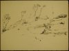 1927 ca. - Paesaggio a Procida con alberi e rocce